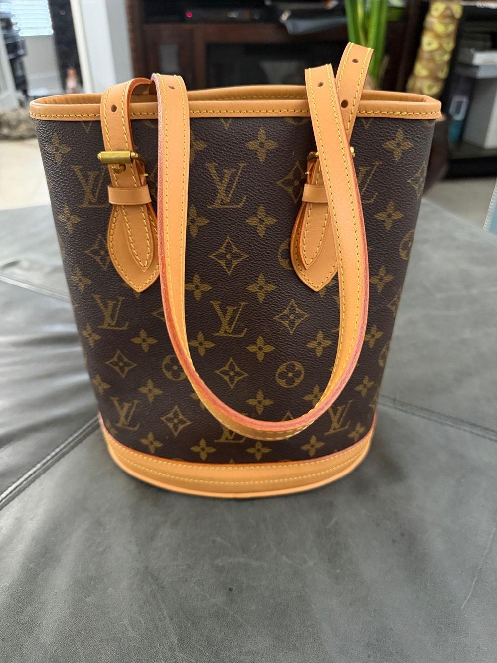 Louis Vuitton Petite Monogram Canvas Bucket Bag 23